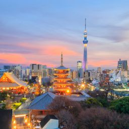 Japan Tokyo skyline