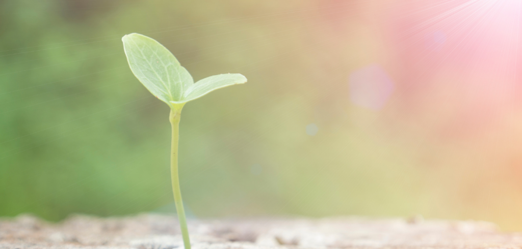 Sustainable growth in a post-pandemic environment
