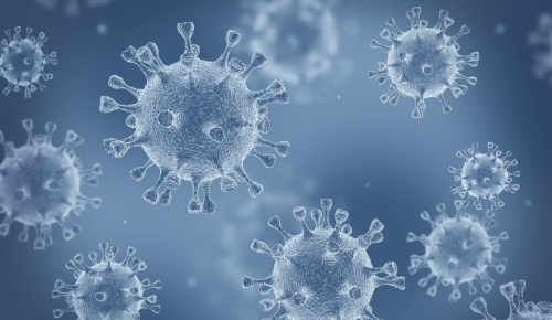 Probiotics and covid 19